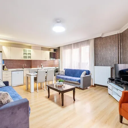 The Canka And Family Center - Sisli מלון דירות